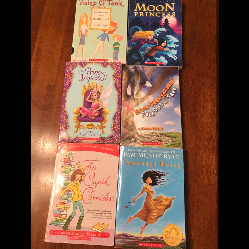Lot of 6 girly chapter books
